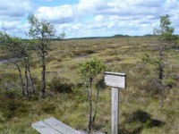 /album/fotogallerij/komosse-jpg1/